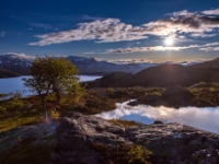 Telemark, turistveg: Den gamle Haukelivegen